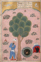 Load image into Gallery viewer, 07 - Trees &amp; Leaves: A Beginners Guide to Painting Flora in Persian Miniature Style.