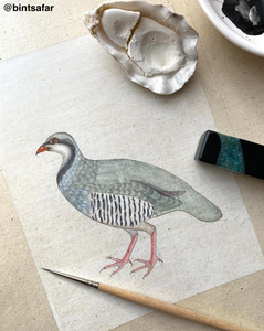 5 Class Pack: Paint an Indian Miniature bird - A Partridge Without A Pear Tree.