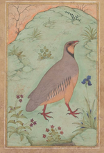 Load image into Gallery viewer, 5 Class Pack: Paint an Indian Miniature bird - A Partridge Without A Pear Tree.