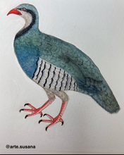 Load image into Gallery viewer, 5 Class Pack: Paint an Indian Miniature bird - A Partridge Without A Pear Tree.